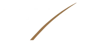 Golden Pixxel Logo